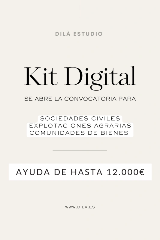 Las sociedades civiles ya pueden solicitar la ayuda Kit Digital